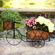 Planter Tricycle in Metal